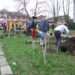volunteers-call-for-promised-compensation-after-bin-lorry-destroys-part-of-their-community-garden