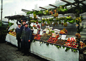Wellers fruit stall copyright Welller family 2010