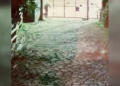 CCTV footage shared by the farm showed a figure dumping a bag on the farm. Credit: Surrey Docks Farm