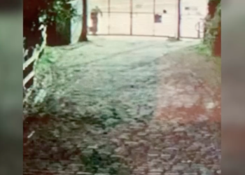CCTV footage shared by the farm showed a figure dumping a bag on the farm. Credit: Surrey Docks Farm