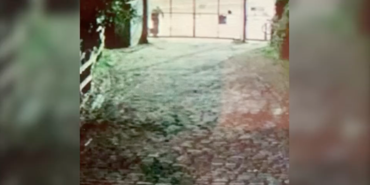 CCTV footage shared by the farm showed a figure dumping a bag on the farm. Credit: Surrey Docks Farm
