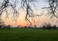 Brockwell Park looking pristine.  Credit - Protect Brockwell Park