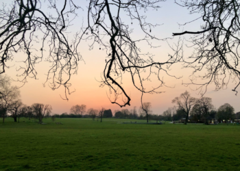 Brockwell Park looking pristine.  Credit - Protect Brockwell Park