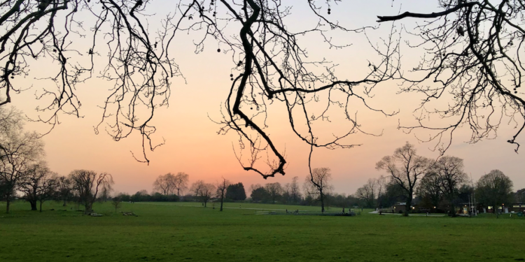 Brockwell Park looking pristine.  Credit - Protect Brockwell Park