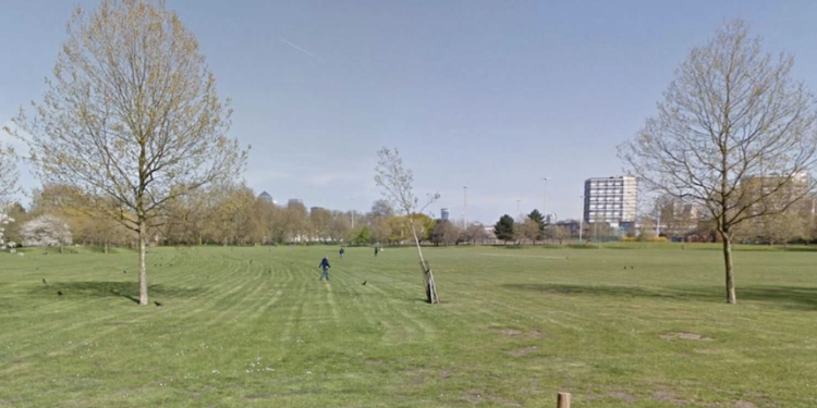 The south side of the park where the festival might take place