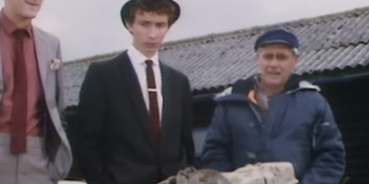 Patrick starring in an early episode of Only Fools and Horses.  Credit - BBC