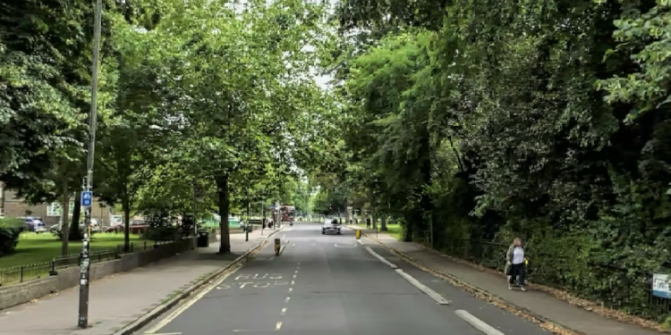 The proposal is to close part of Peckham Rye to cars (pictured).  Credit - Google